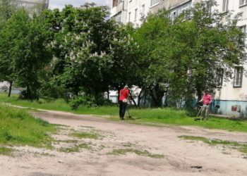 Продовжуються роботи з покосу